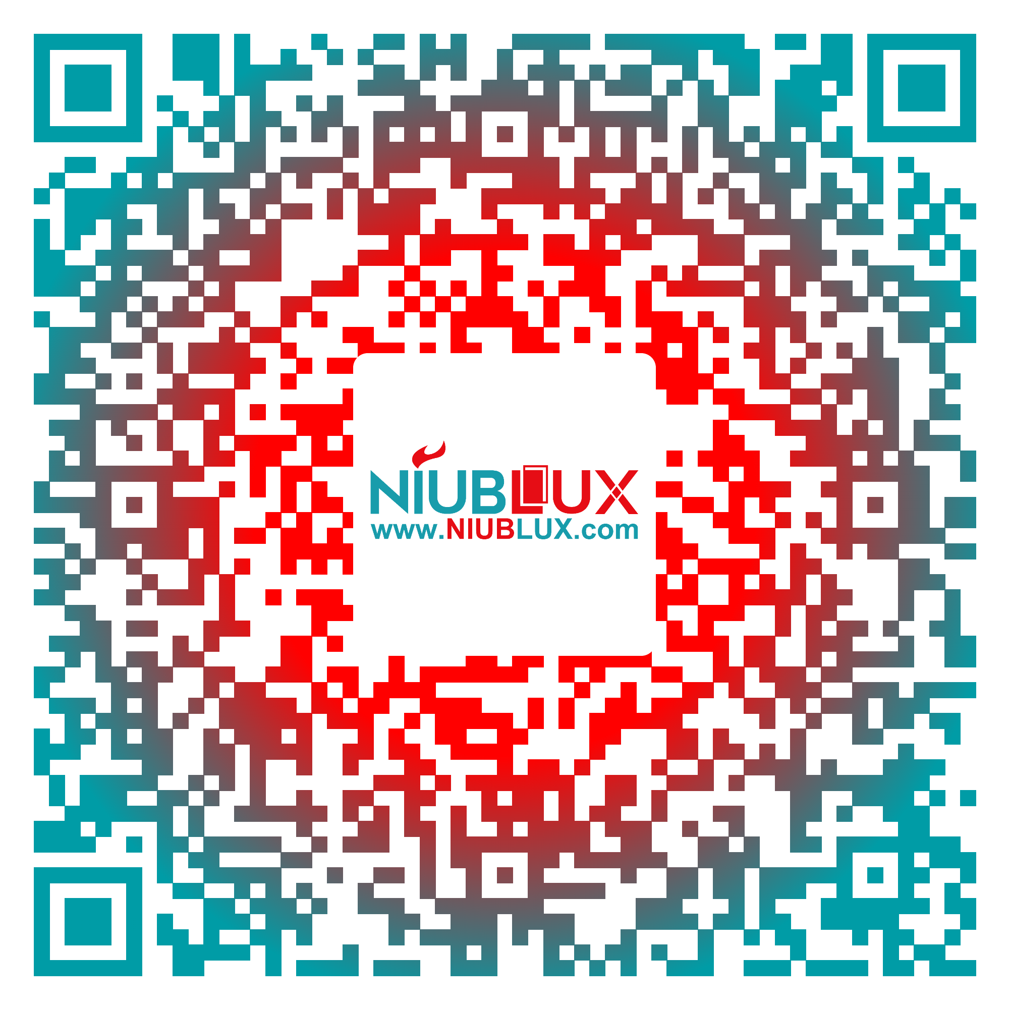 the qr code
